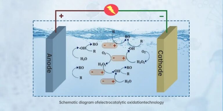 schematic diagram of electro catalytic oxidation technology via boron doped diamond electrode