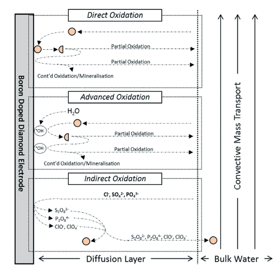 direct and indirect oxidation on the surface of boron doped diamond electrode