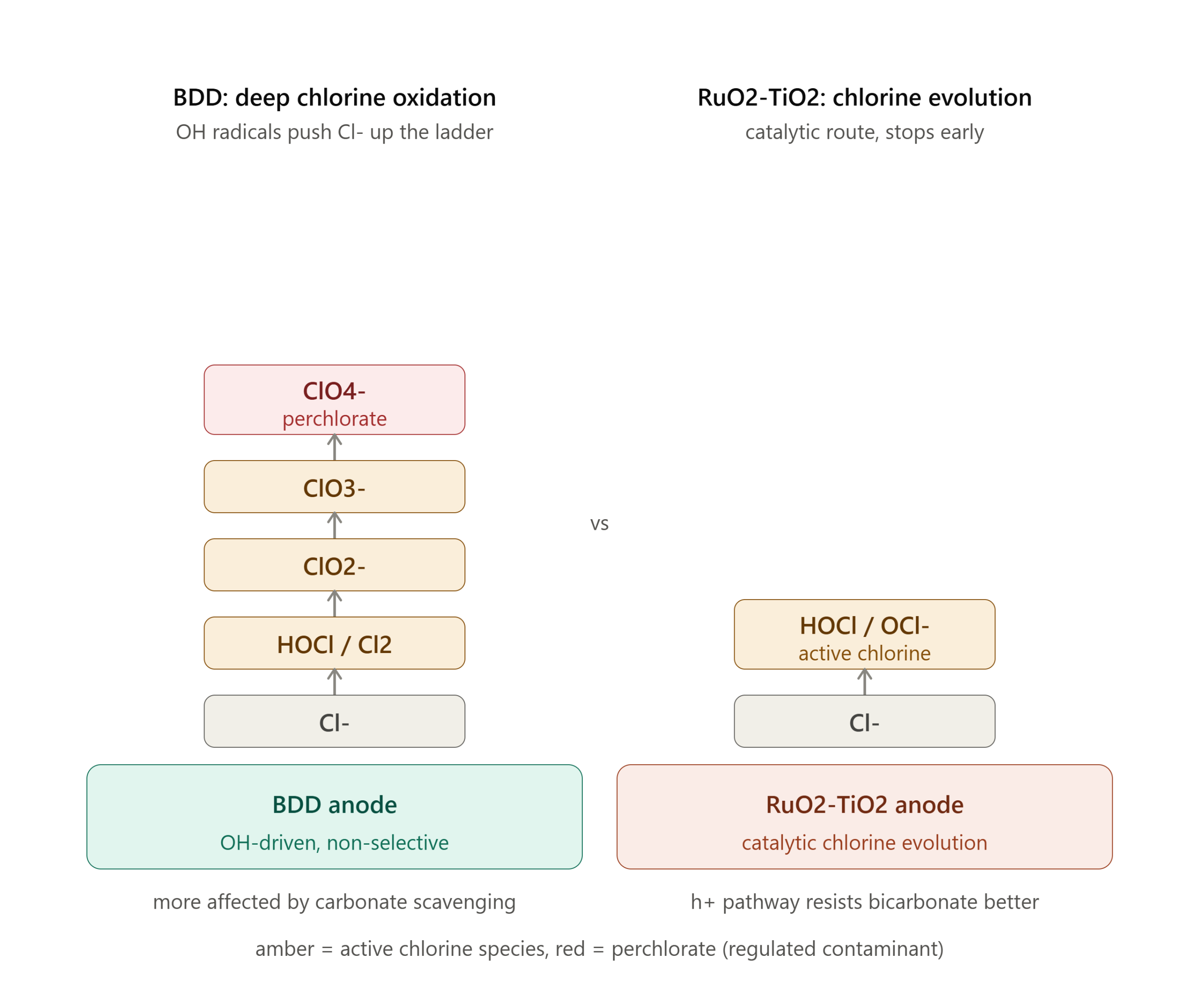 Titanium Dioxide vs. BDD Electrodes: Choosing the Right Option for Different Water Matrices