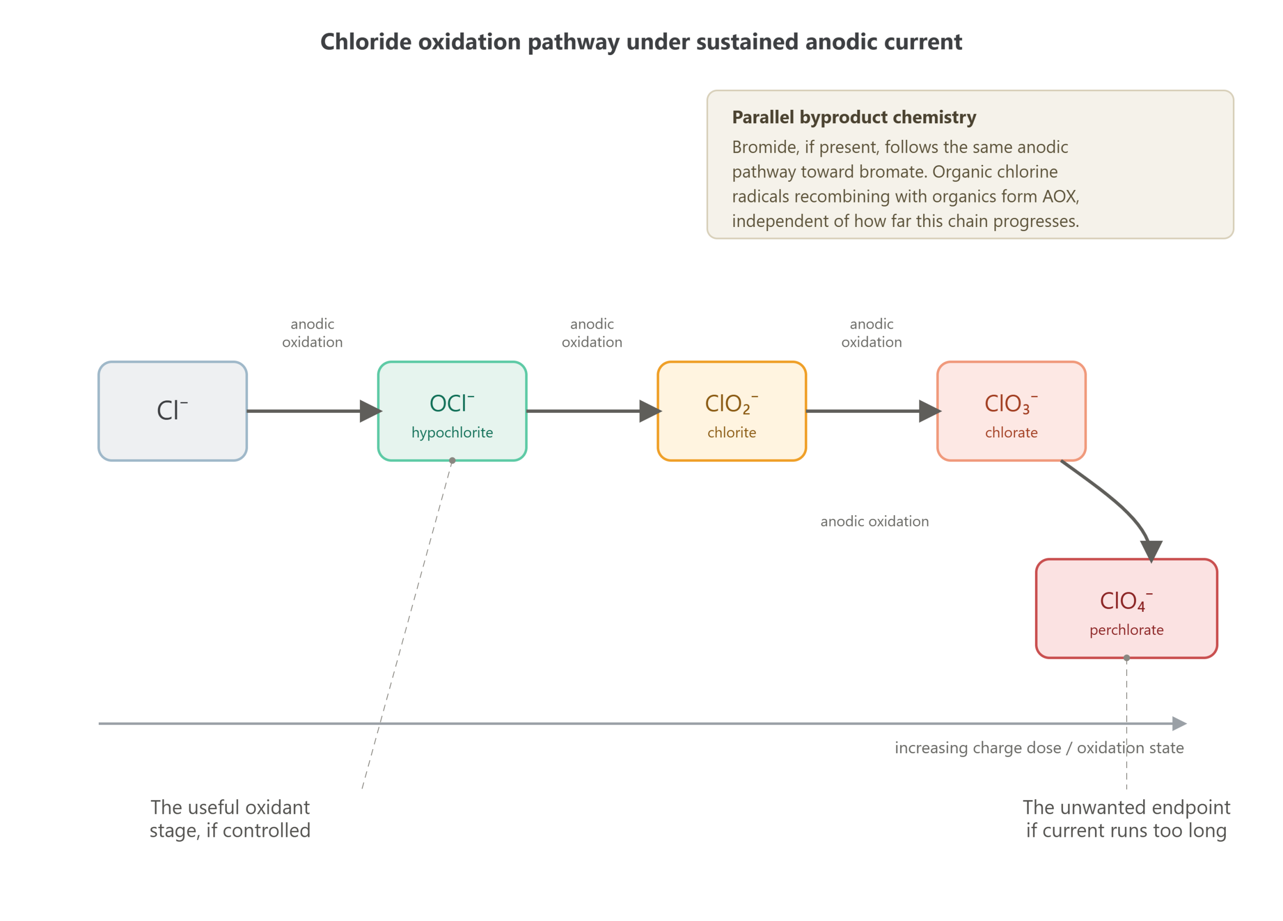 Hypochlorite Chlorate Perchlorate Pathway